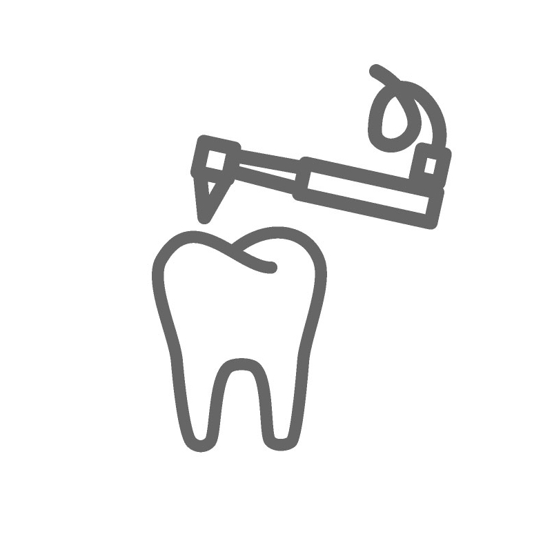 prajna fillings