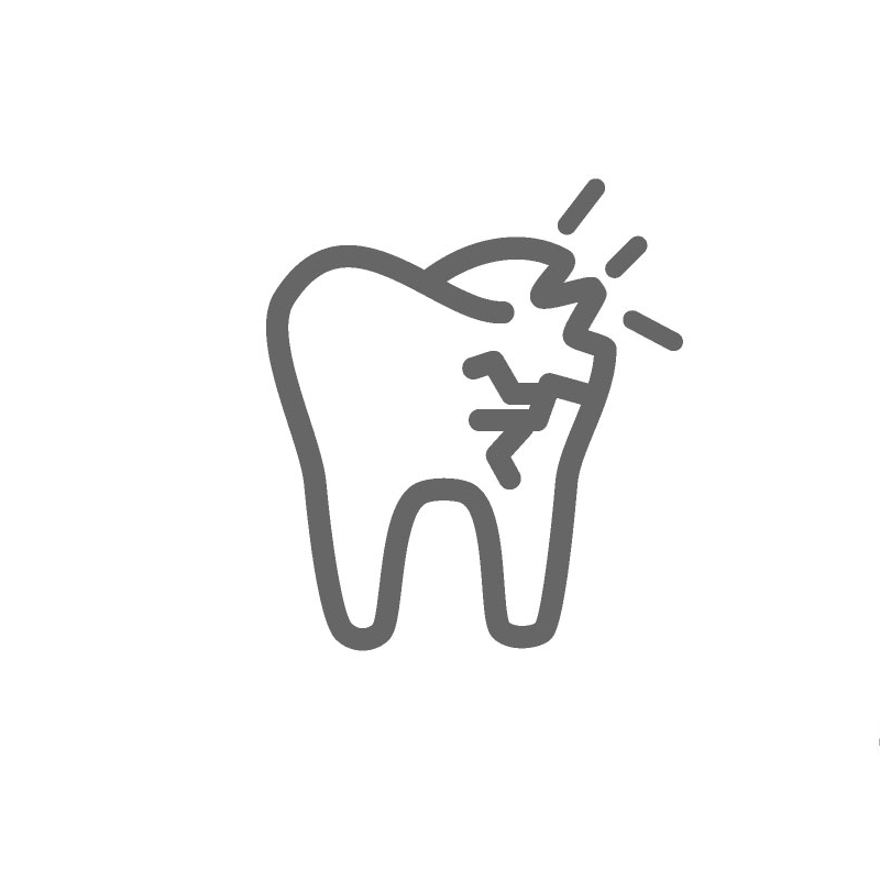 prajna rootcanal